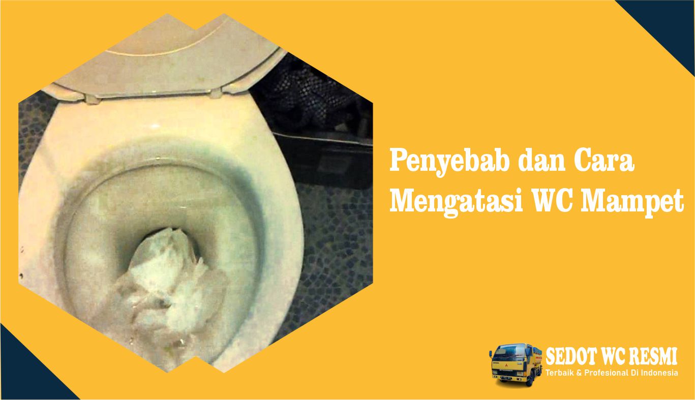 Penyebab dan Cara Mengatasi WC Mampet